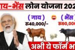 Animal Husbandry Loan 2025